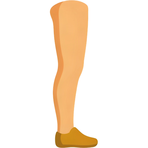 leg — illustration for the TotWord body-parts lesson