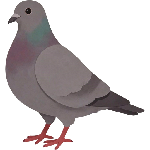 pigeon — illustration for the TotWord birds lesson