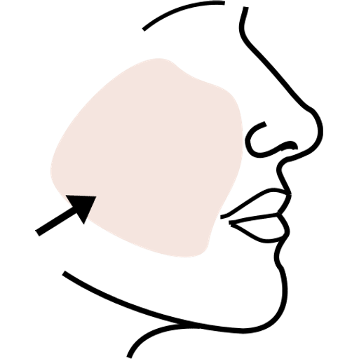 cheek — illustration for the TotWord body-parts lesson