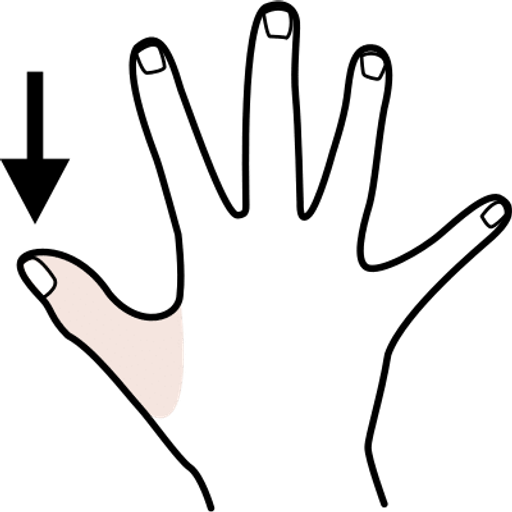 thumb — illustration for the TotWord body-parts lesson