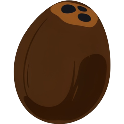 coconut — illustration for the TotWord fruits lesson