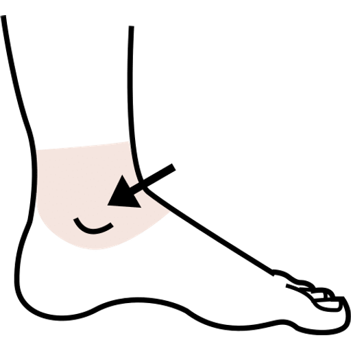 ankle — illustration for the TotWord body-parts lesson