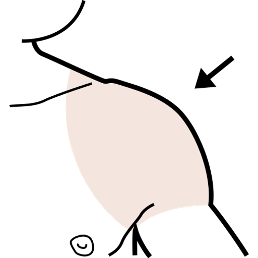 shoulder — illustration for the TotWord body-parts lesson
